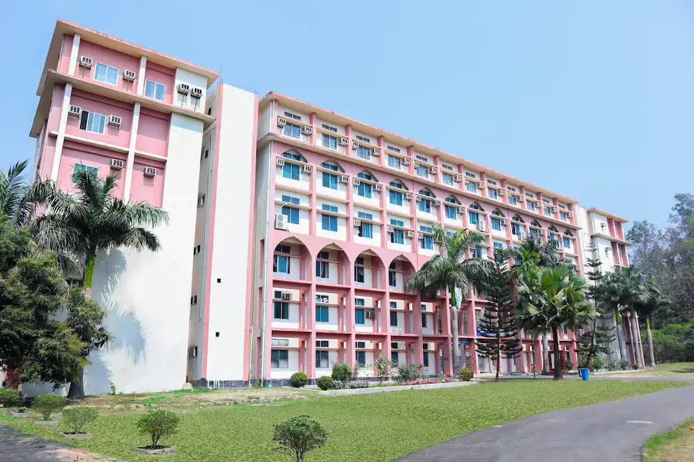 Department Background